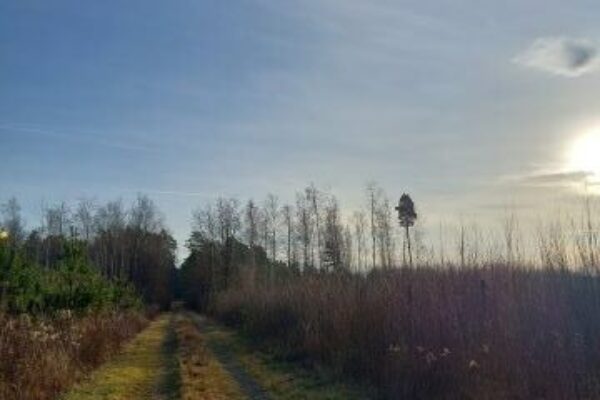O tym, że czasem milknę